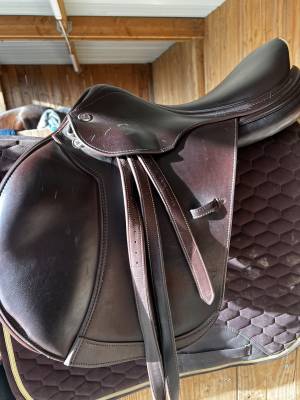 Sella da salto ostacoli Prestige Italia  17.5