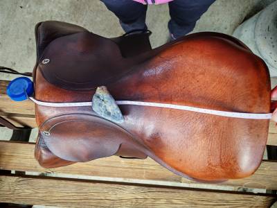 Sella da salto Whitaker 