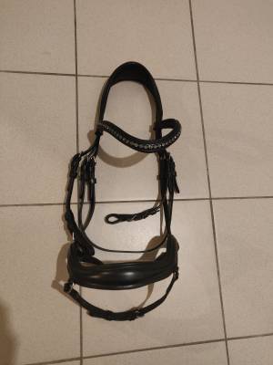  Waldhausen Occasione