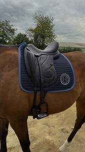 Sella da dressage Antarès  16.5