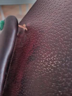 Sella mista Equipe  17.5