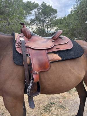 Sella western  Crates  17