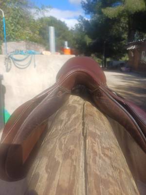 Sella mista Forestier  17