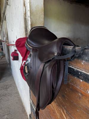 Sella da salto ostacoli CWD  17