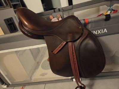 Sella da salto ostacoli Antarès  17.5