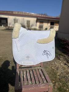  Premier Equine Occasione