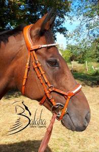  - Altra Marca - Nuovo