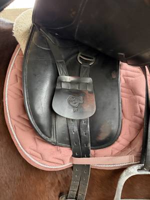 Sella da dressage Eric Thomas  17