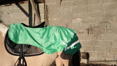  - Altra Marca - Occasione