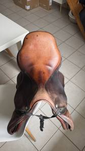 Sella da salto ostacoli Antarès  17.5