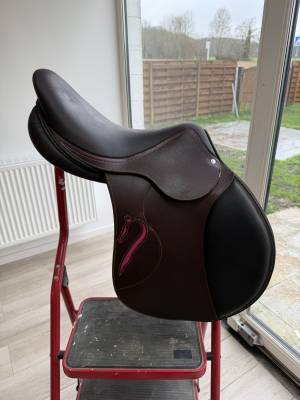 Sella da salto ostacoli Antarès  17.5