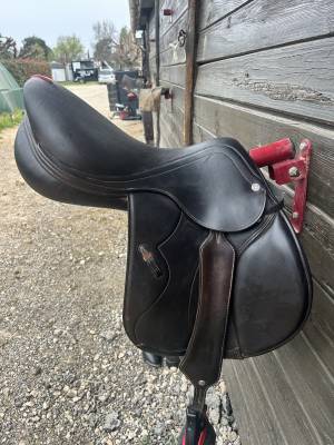 Sella da salto ostacoli Equipe  17