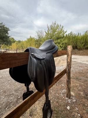 Sella da salto ostacoli GBS  18