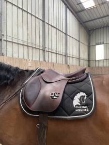 Sella da salto ostacoli Delgrange  17.5