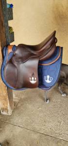 Sella da salto ostacoli Delgrange  17.5