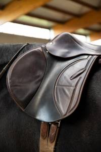 Sella da salto ostacoli Arion  17.5