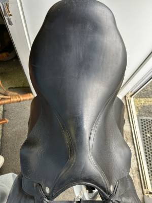 Sella mista Forestier  17