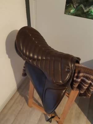 Sella islandese Stubben  17.5