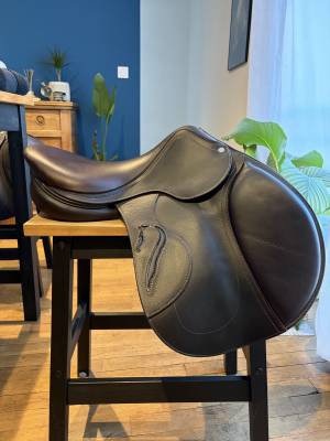 Sella da salto ostacoli Antarès  17.5