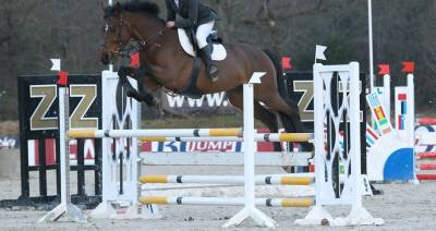 Sella mista Mondange Mondange Sport 17