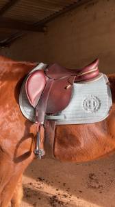 Sella da salto ostacoli CWD  17.5