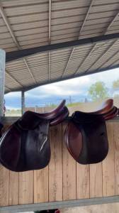 Sella da salto ostacoli Antarès  17