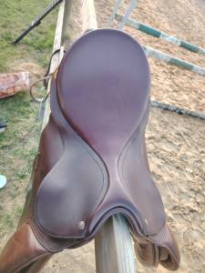 Sella mista Bates caprilli caire  17