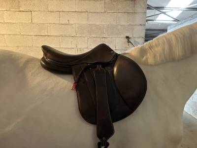 Sella mista Forestier  17.5