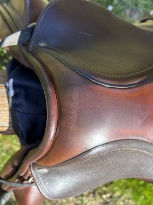 Sella da salto ostacoli Altair  17.5