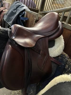 Sella da salto ostacoli Antarès  17.5