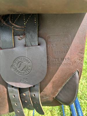 Sella da salto ostacoli Antarès  17.5