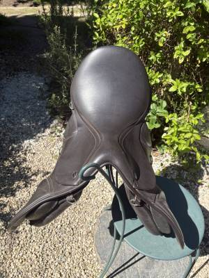 Sella mista Thorowgood  T8 GP Compact 17.5