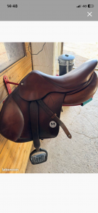 Sella mista Meyer  16.5