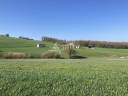 Azienda agricola In vendita Lot-et-Garonne
