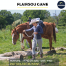 Castrone Trottatore Francese In vendita 2015 Sauro