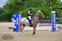 Vendesi pony francese femmina 7 anni