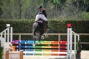 Cavalla Sella Francese In vendita 2022 Nero ,  papillon de l'odyssee