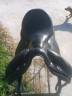 Sella da dressage Devoucoux  18" - 2016