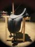 Sella da dressage Norton  16.5" - 2023