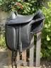 Sella da dressage Barefoot   17" - 2024