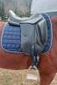 Sella da dressage Prestige Italia  17" - 2017