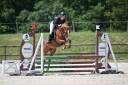 Cavalla PFS Pony Francese da Sella In vendita 2022 Sauro