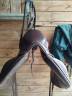 Sella mista Forestier  17.5" - 2022