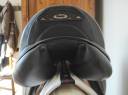 Sella da dressage Prestige Italia  17.5" - 2019