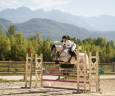 Castrone PFS Pony Francese da Sella In vendita 2016 Grigio