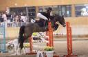 Cavalla PFS Pony Francese da Sella In vendita 2017 Baio