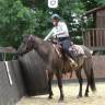 Cavalla Quarter Horse In vendita 2020 Grullo ,  JAZ GC DE PLATA