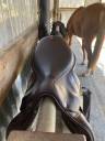 Sella mista Equipe  17" - 2021