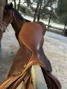 Sella mista   17.5" - 2023