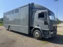 Iveco Traspoto Cavalli 8 posti pi&ugrave; Selleria 